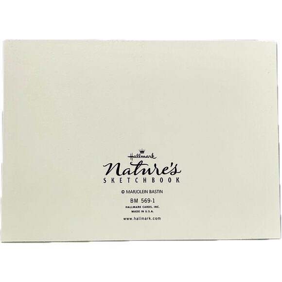 15‎ Hallmark Blank Nature's Sketchbook Pansies Note Cards & Envelopes Boxes READ - Picture 4 of 7